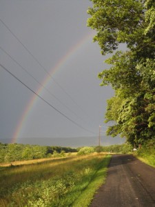 2008Rainbow