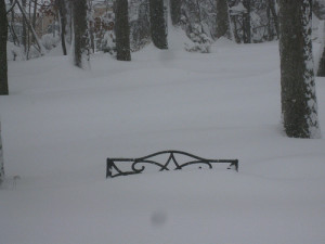 SnowBenchFebruary2010